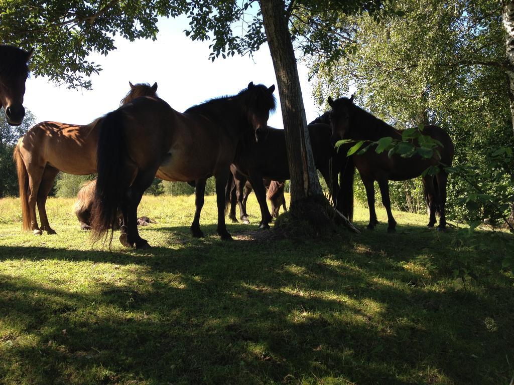 Karaby Gard, Country Living Hostel คริสตีเนอฮัมน์ ภายนอก รูปภาพ